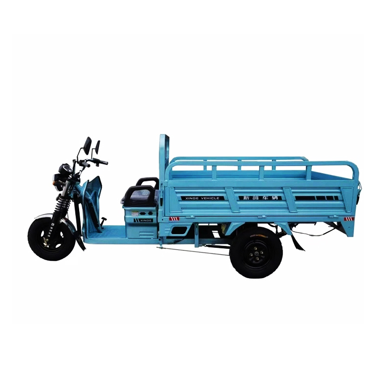 1200W Electric Cargo 3 Wheel Mini Kamyon