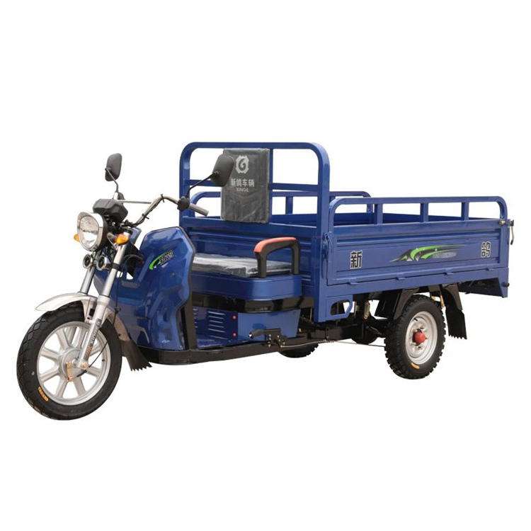 Elektrik tricycling modelni qaytaradi.