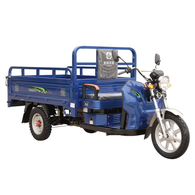 Elektrik tricycling modelni qaytaradi.